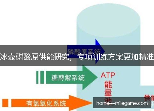 冰壶磷酸原供能研究，专项训练方案更加精准